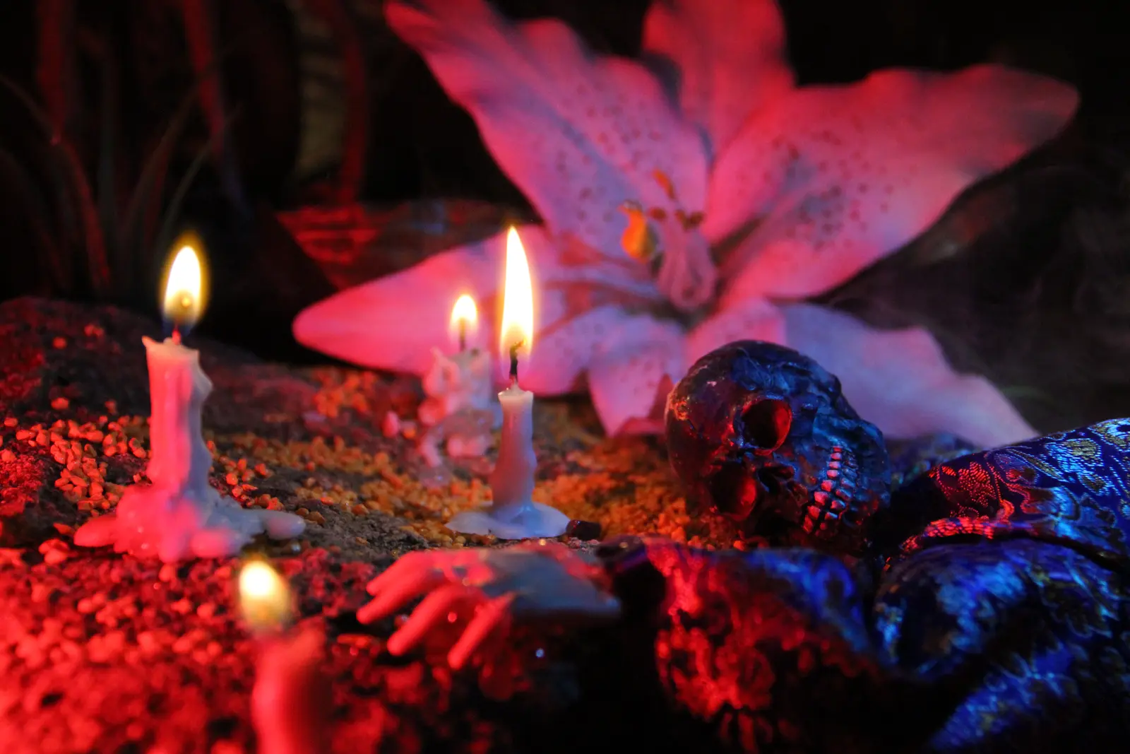 Turkish Delights fig 12