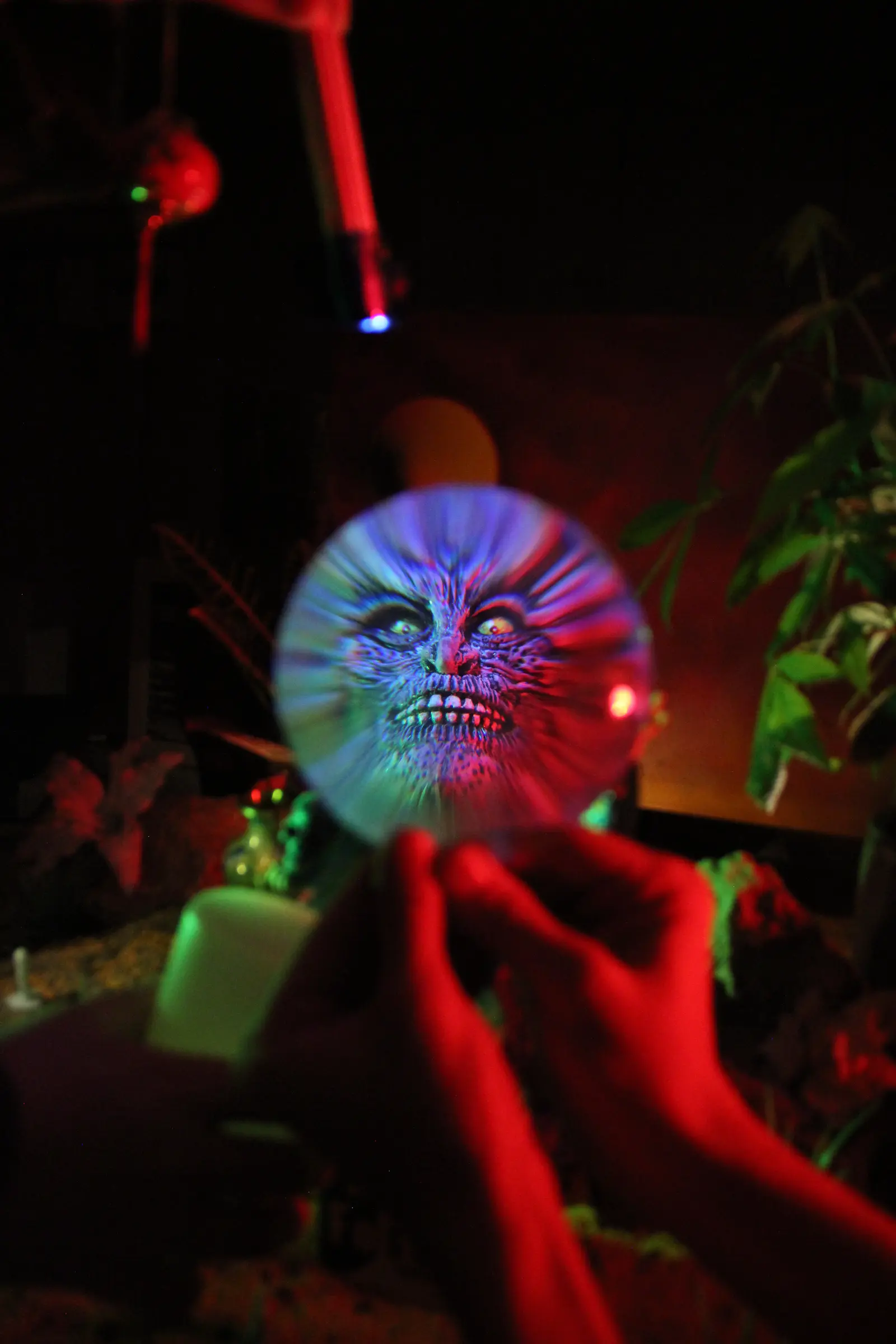 Turkish Delights fig 6