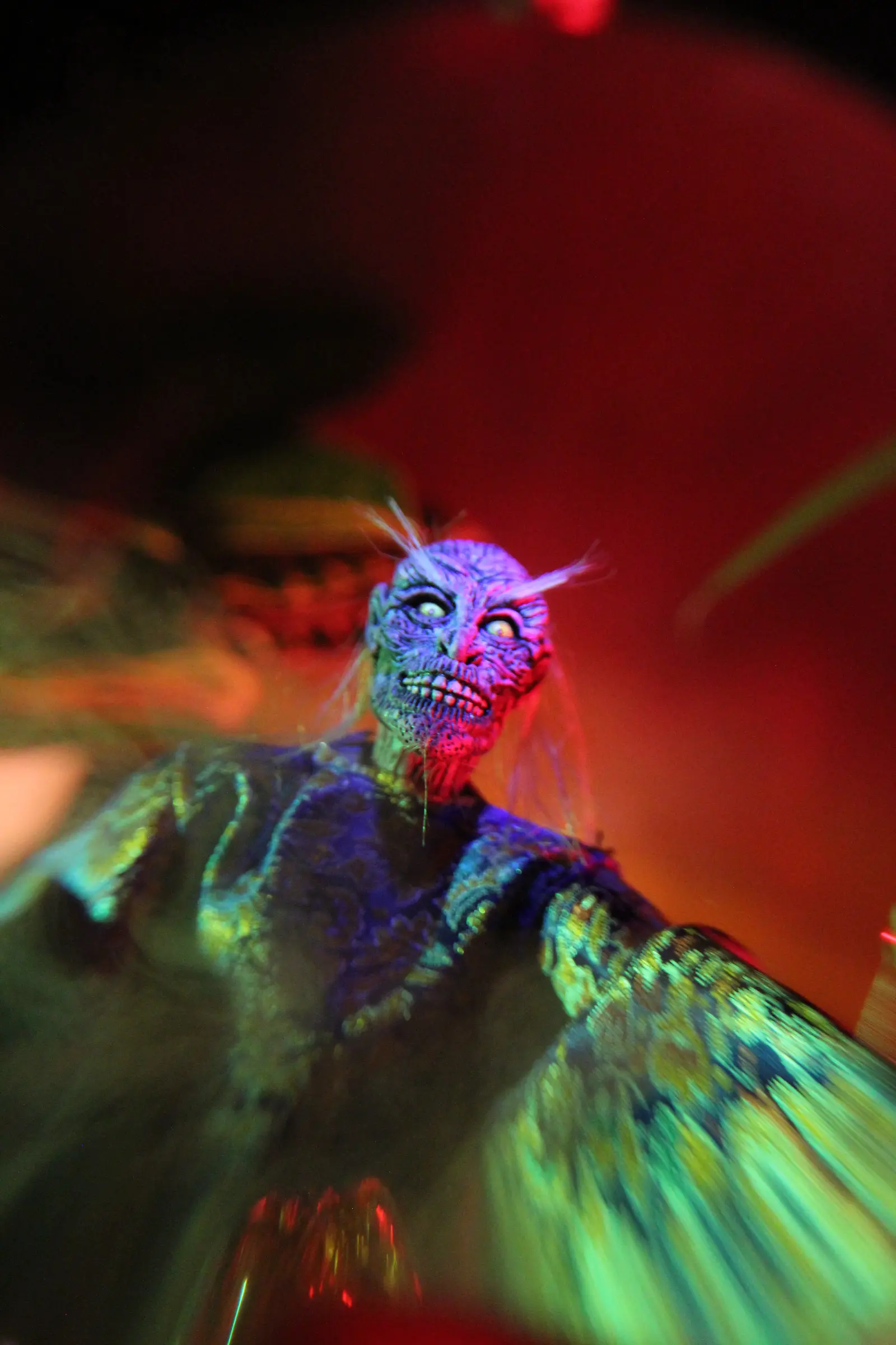 Turkish Delights fig 7