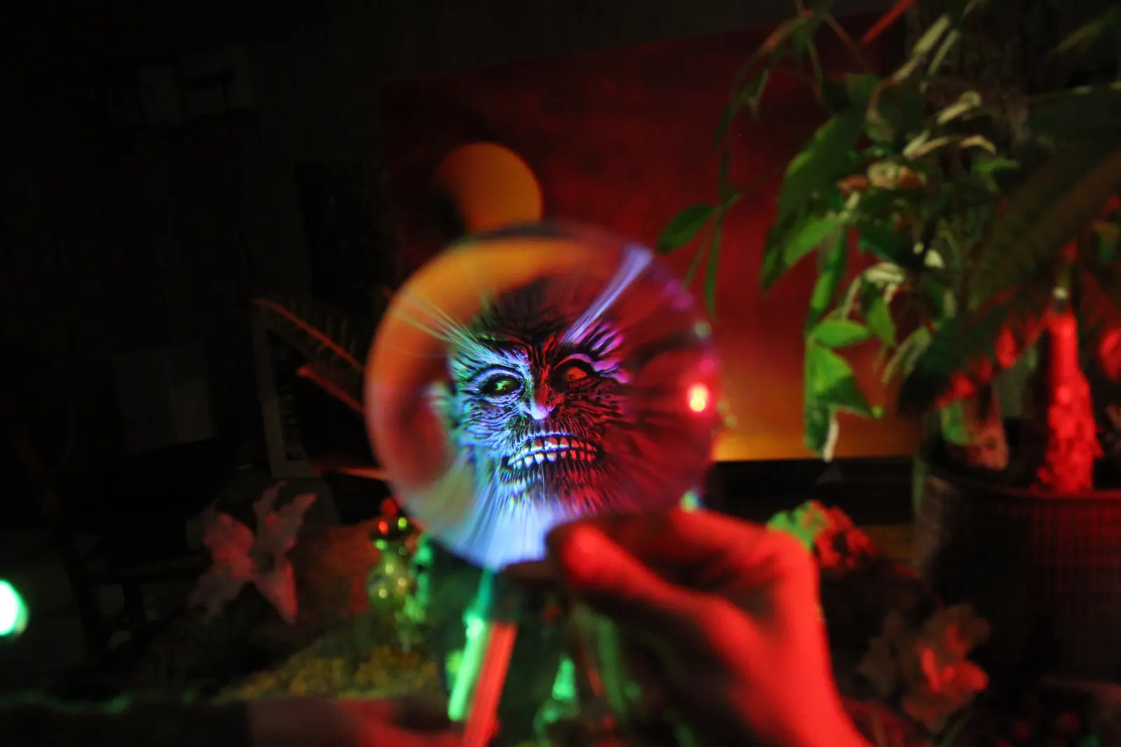 Turkish Delights fig 5